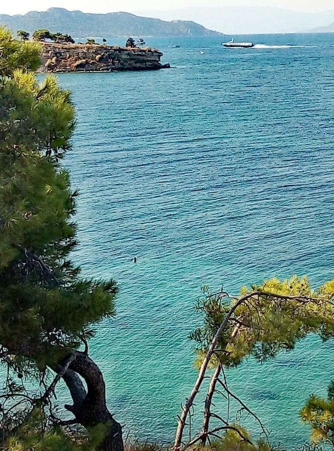 Lefteris Beautiful Aegina Villa Exterior photo